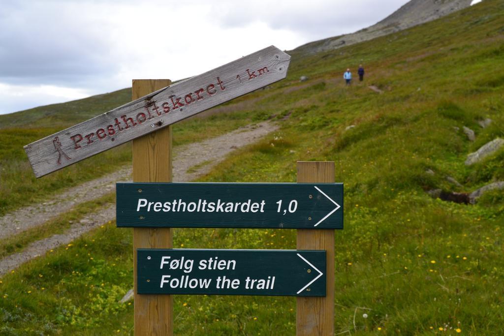Birkelund Camping 게일로 외부 사진
