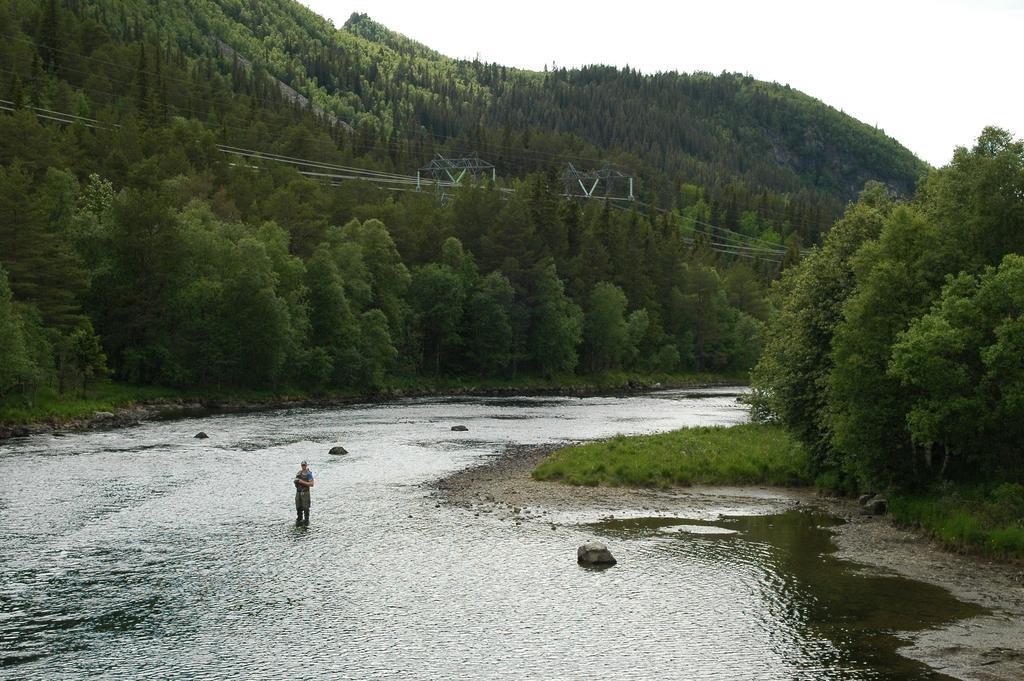 Birkelund Camping 게일로 외부 사진