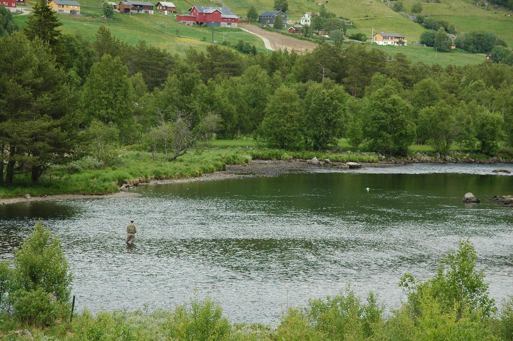 Birkelund Camping 게일로 외부 사진