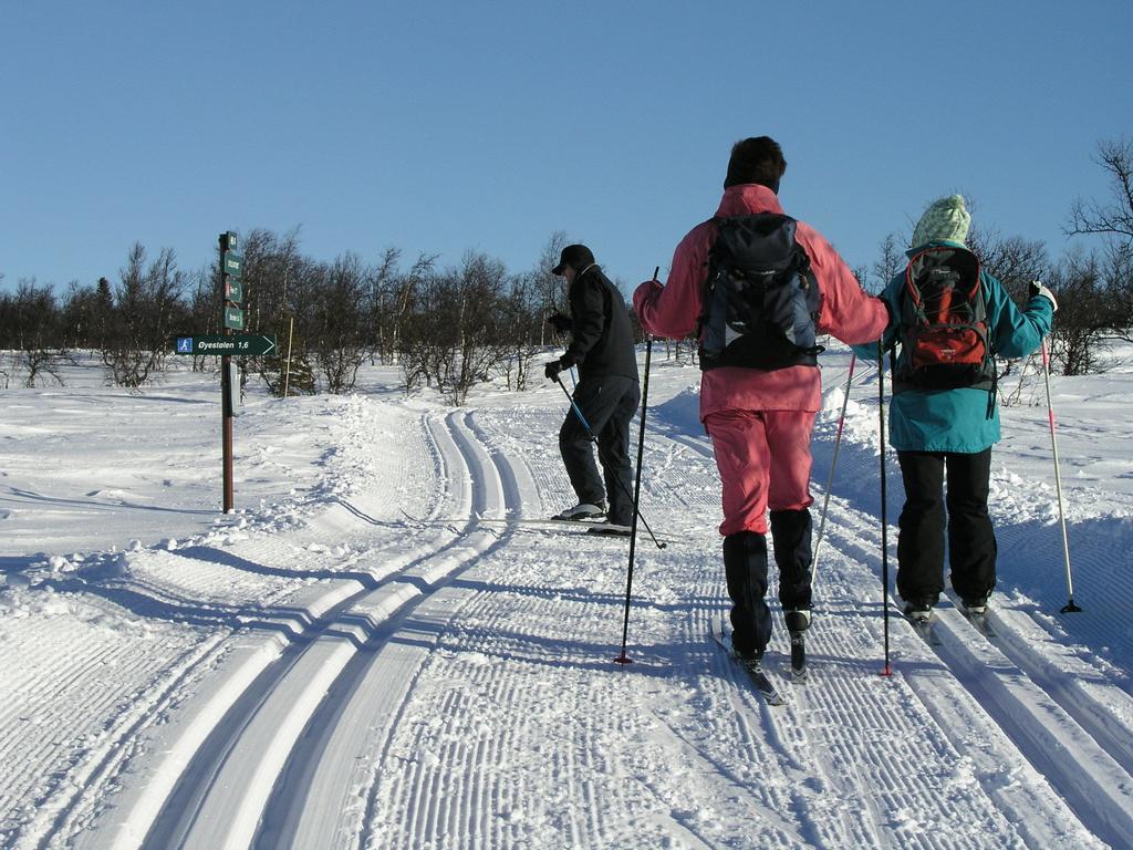 Birkelund Camping 게일로 외부 사진