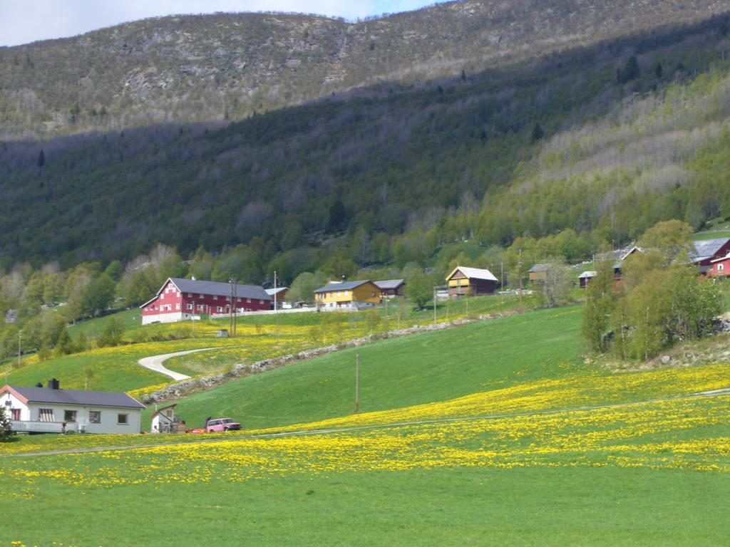 Birkelund Camping 게일로 외부 사진