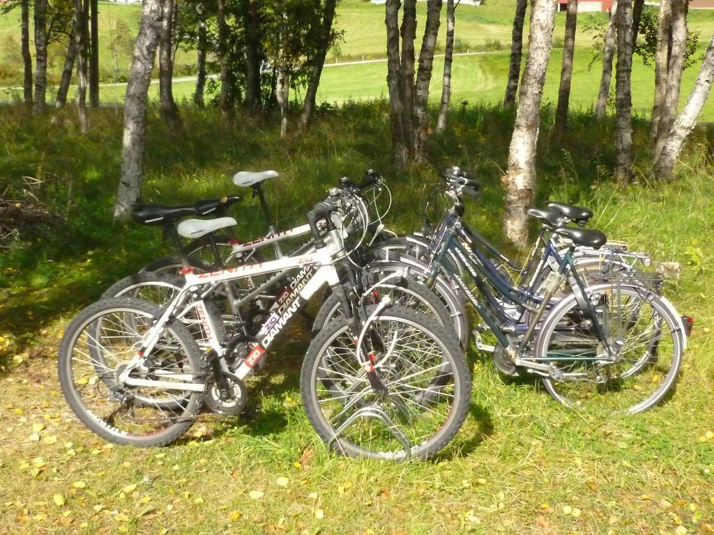 Birkelund Camping 게일로 외부 사진
