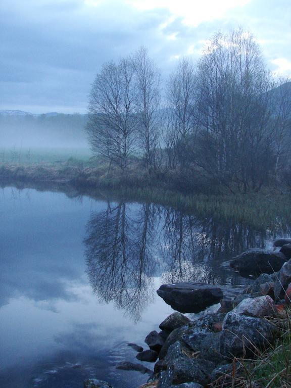 Birkelund Camping 게일로 외부 사진