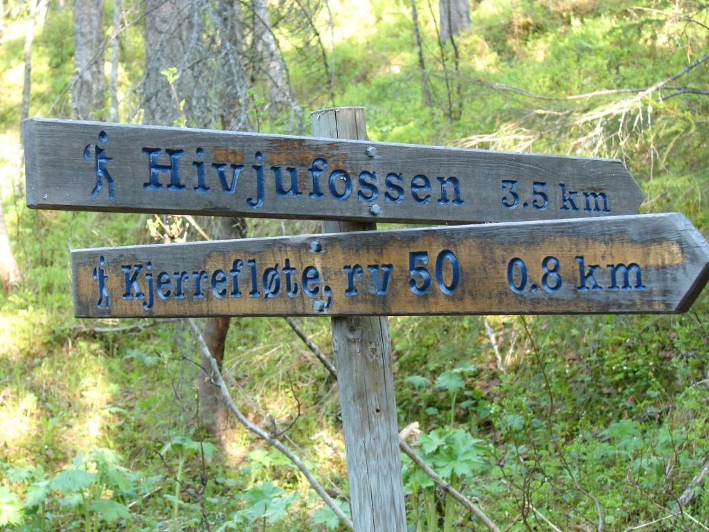 Birkelund Camping 게일로 외부 사진
