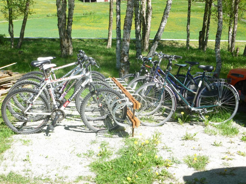 Birkelund Camping 게일로 외부 사진