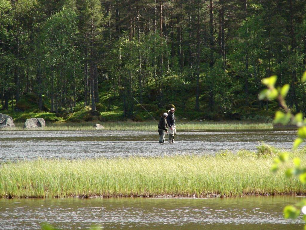 Birkelund Camping 게일로 외부 사진